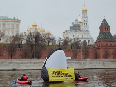 Акция в поддержку косаток и дельфинов. Фото: Greenpeace