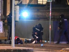 Задержание террористов в Вене.   Фото: korrespondent.net