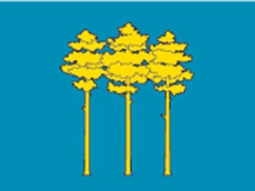 Флаг Димитровграда. Фото с сайта vector-images.com (с)
