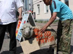 Баран на акции, фото  Аркадия Зарубина, для Каспарова.Ru