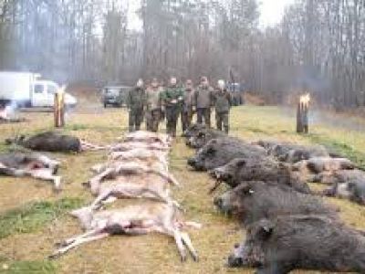 Охота - это варварство